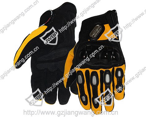 Motorcycle Glove